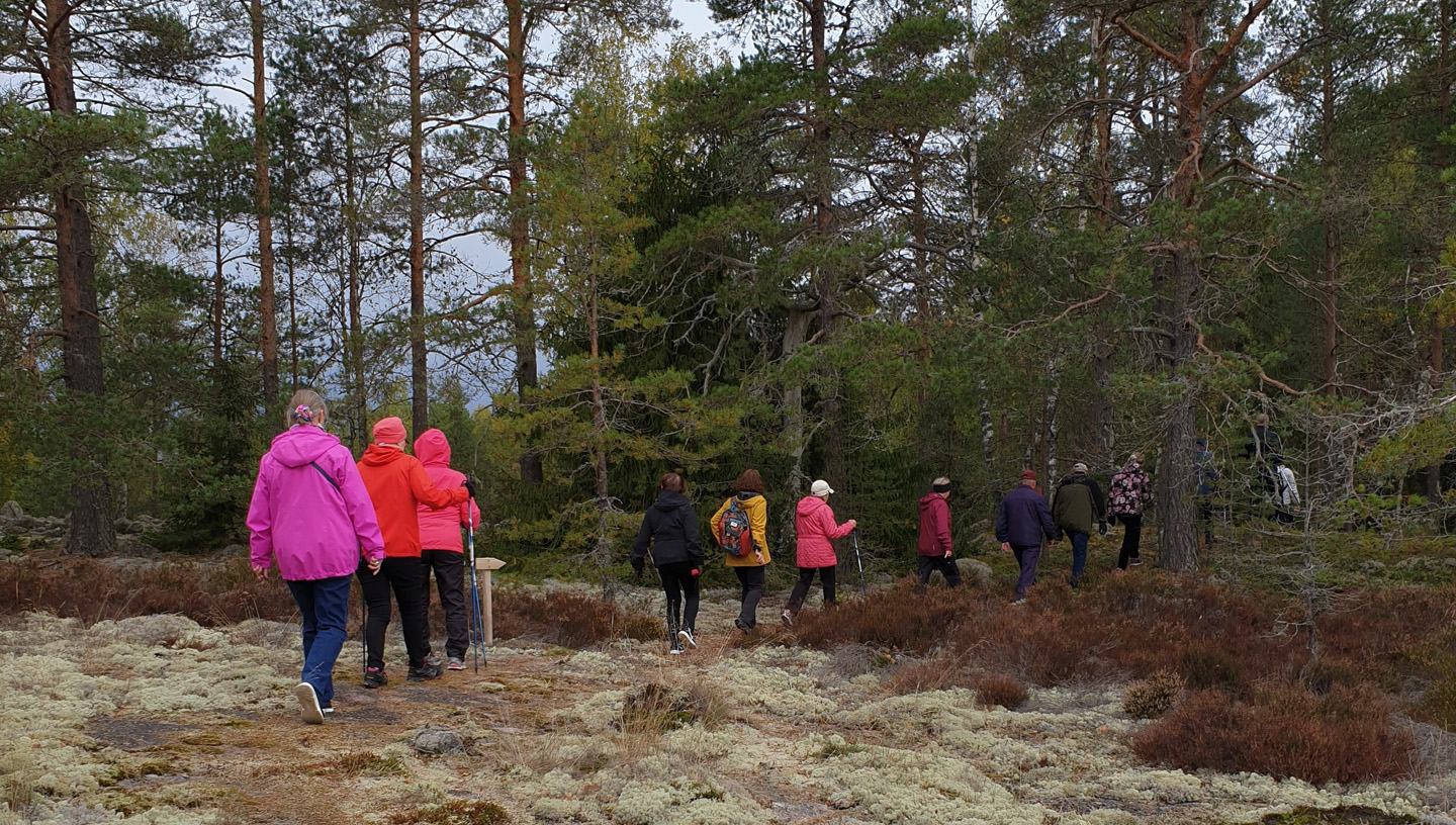 Ihmisiä kävelemässä metsässä Varikattilan kierroksella. 