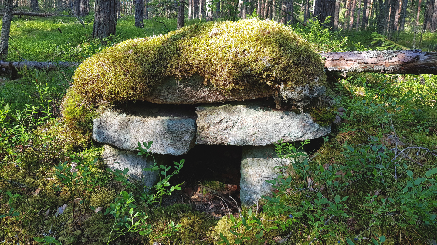 Sammaleen alla lymyilevä ryssänuuni Varikattilanmäellä