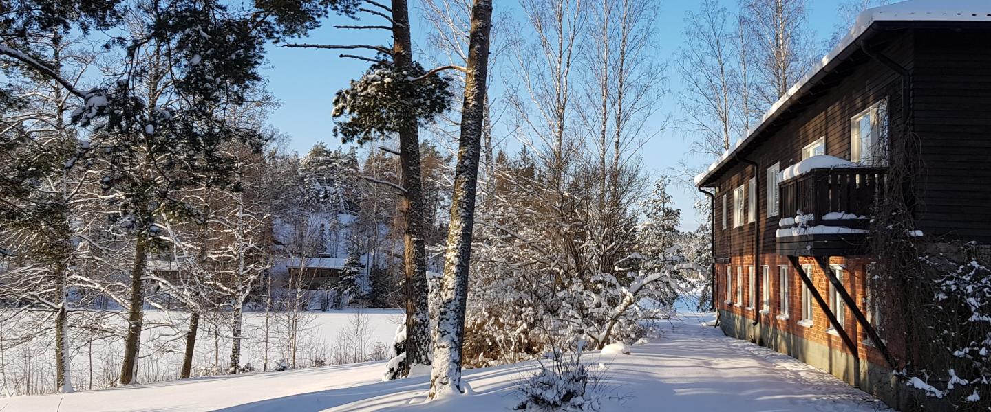 Talvinen kuva Lehmirannan pihalta Tervahovin vierestä järvelle päin.