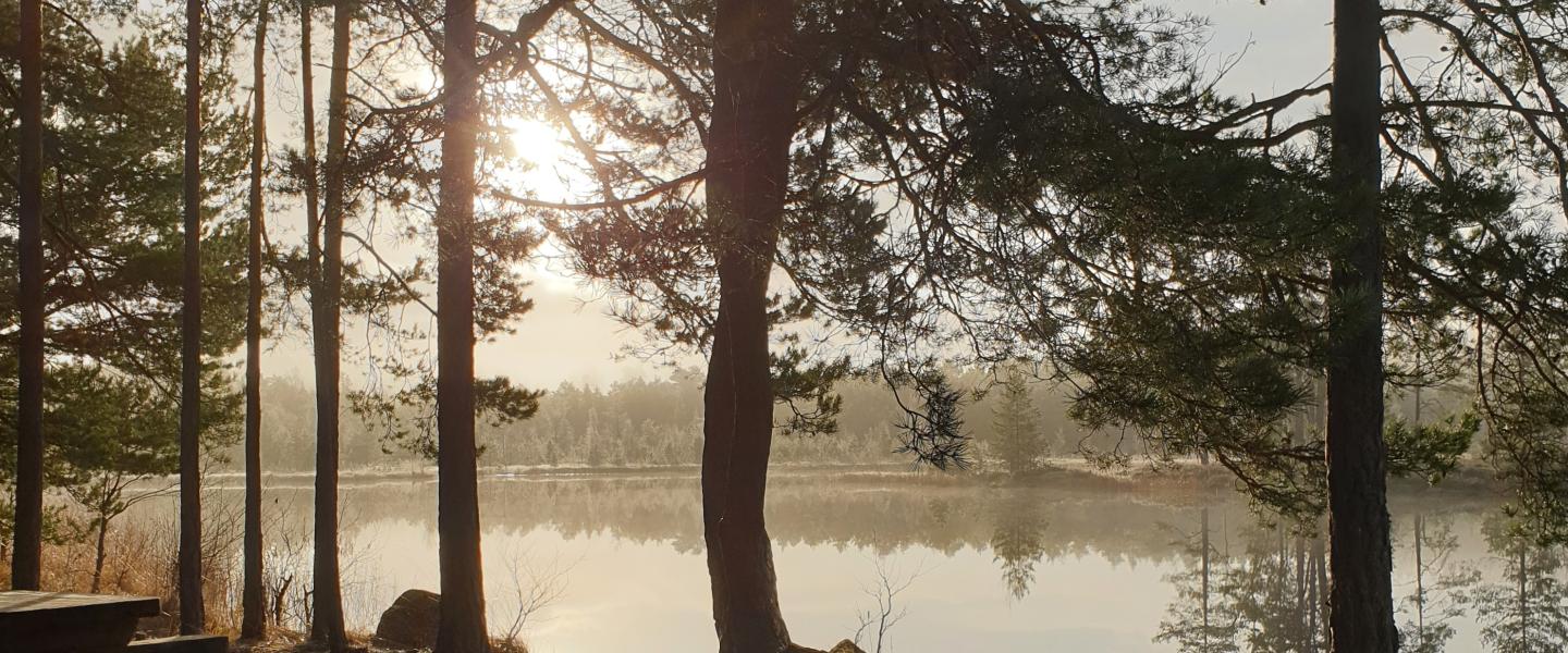 Metsää ja järvimaisemaa Teijossa Matildanjärven rannalla