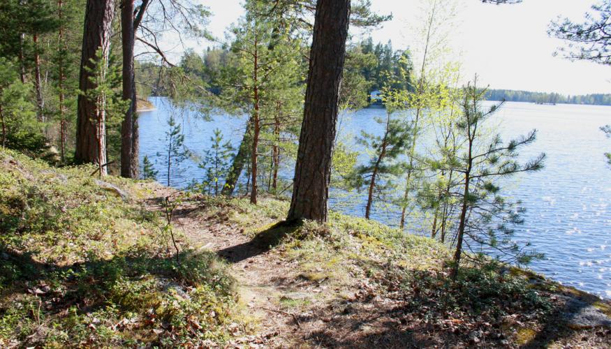 Maisema siniselle järvelle, jonka rannassa metsäinen polku