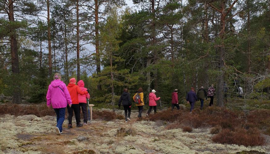 Ihmisiä kävelemässä metsässä Varikattilan kierroksella.